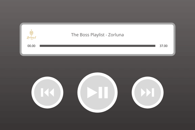 The Boss Playlist by Zorluna